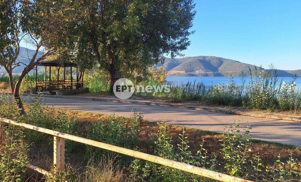 Γυναικοκτονία στην Ηγουμενίτσα: Τι υποστήριξε αρχικά ο 27χρονος και τι αποκάλυψε αργότερα για τον θάνατο της 25χρονης