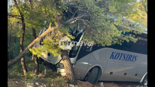 Αχαρνές: Πούλμαν του καζίνο εξετράπη της πορείας του και προσέκρουσε σε δέντρο – Δεν υπάρχουν τραυματίες
